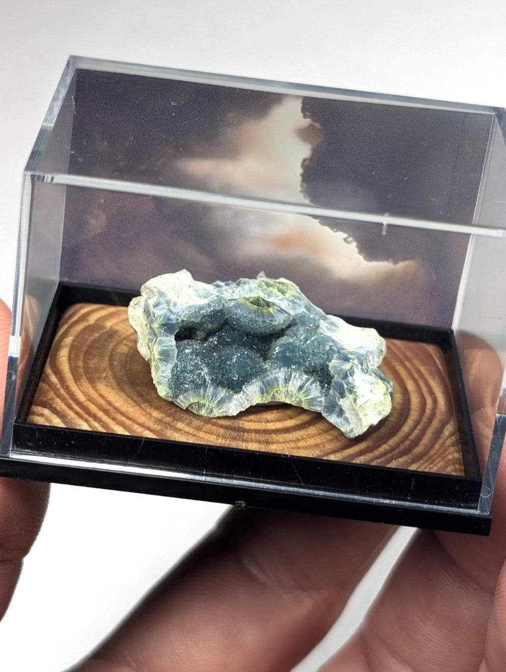 A green and white mineral specimen with a crystalline, textured surface sits inside a clear acrylic display case.