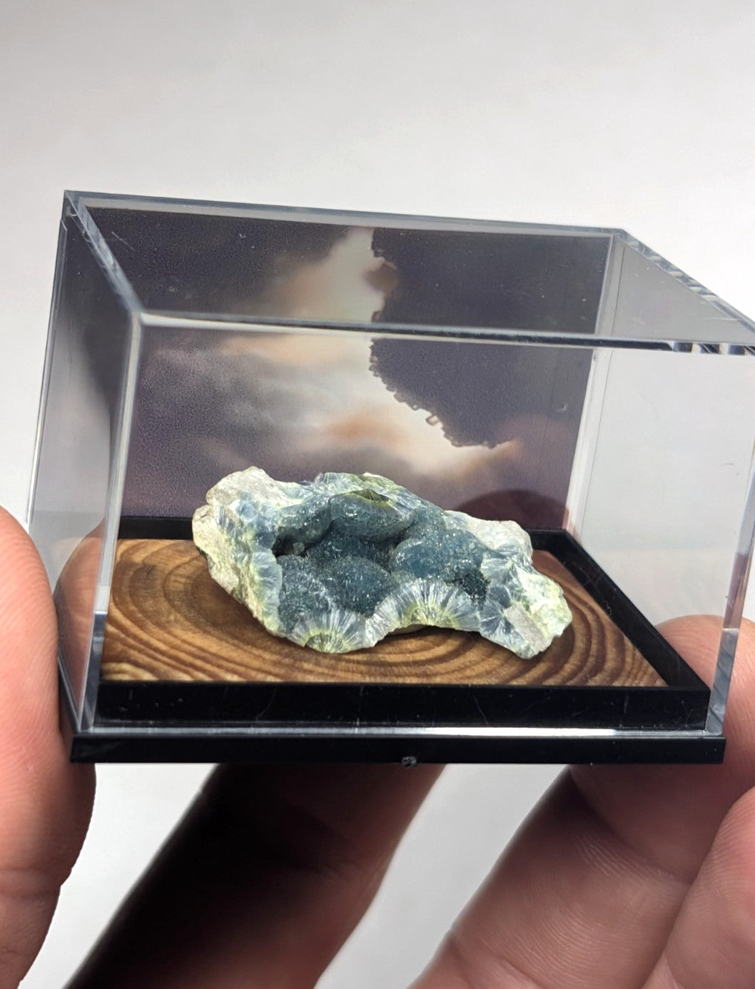 A green and white mineral specimen displayed in a clear acrylic display case with a wooden base.