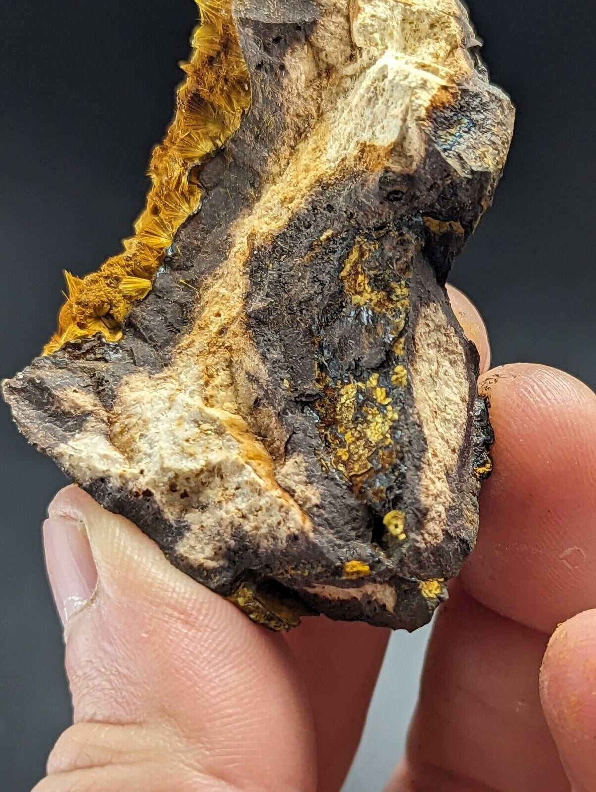 Rare Cacoxenite - Coon Creek / York Mine Polk Co Arkansas Old Stock - Collectibles:Rocks Fossils & Minerals:Crystals