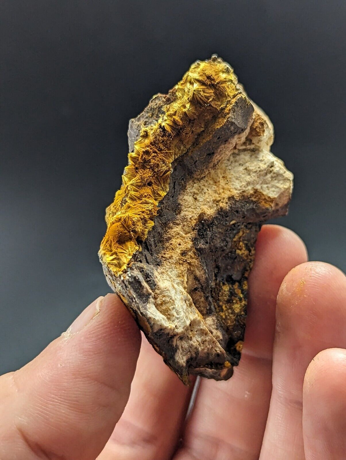 Rare Cacoxenite - Coon Creek / York Mine Polk Co Arkansas Old Stock - Collectibles:Rocks Fossils & Minerals:Crystals