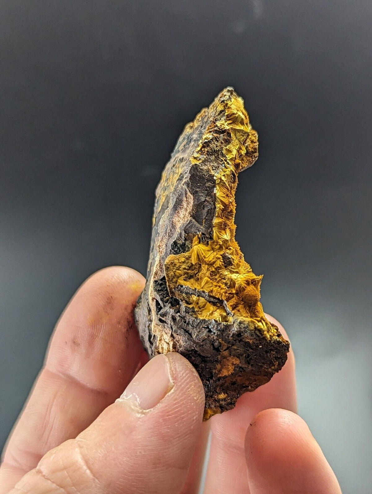 Rare Cacoxenite - Coon Creek / York Mine Polk Co Arkansas Old Stock - Collectibles:Rocks Fossils & Minerals:Crystals