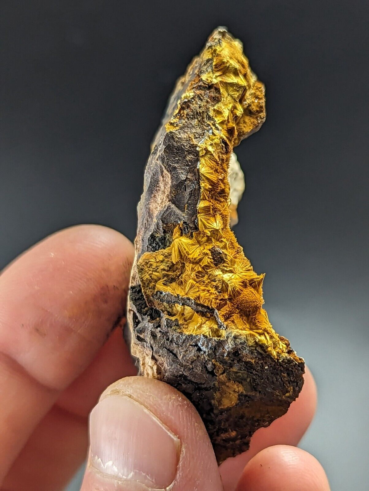 Rare Cacoxenite - Coon Creek / York Mine Polk Co Arkansas Old Stock - Collectibles:Rocks Fossils & Minerals:Crystals