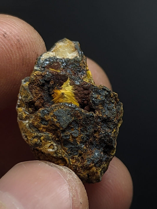 Rare Cacoxenite + Strengite - Coon Creek Polk Co Arkansas Old Stock - Collectibles:Rocks Fossils & Minerals:Crystals