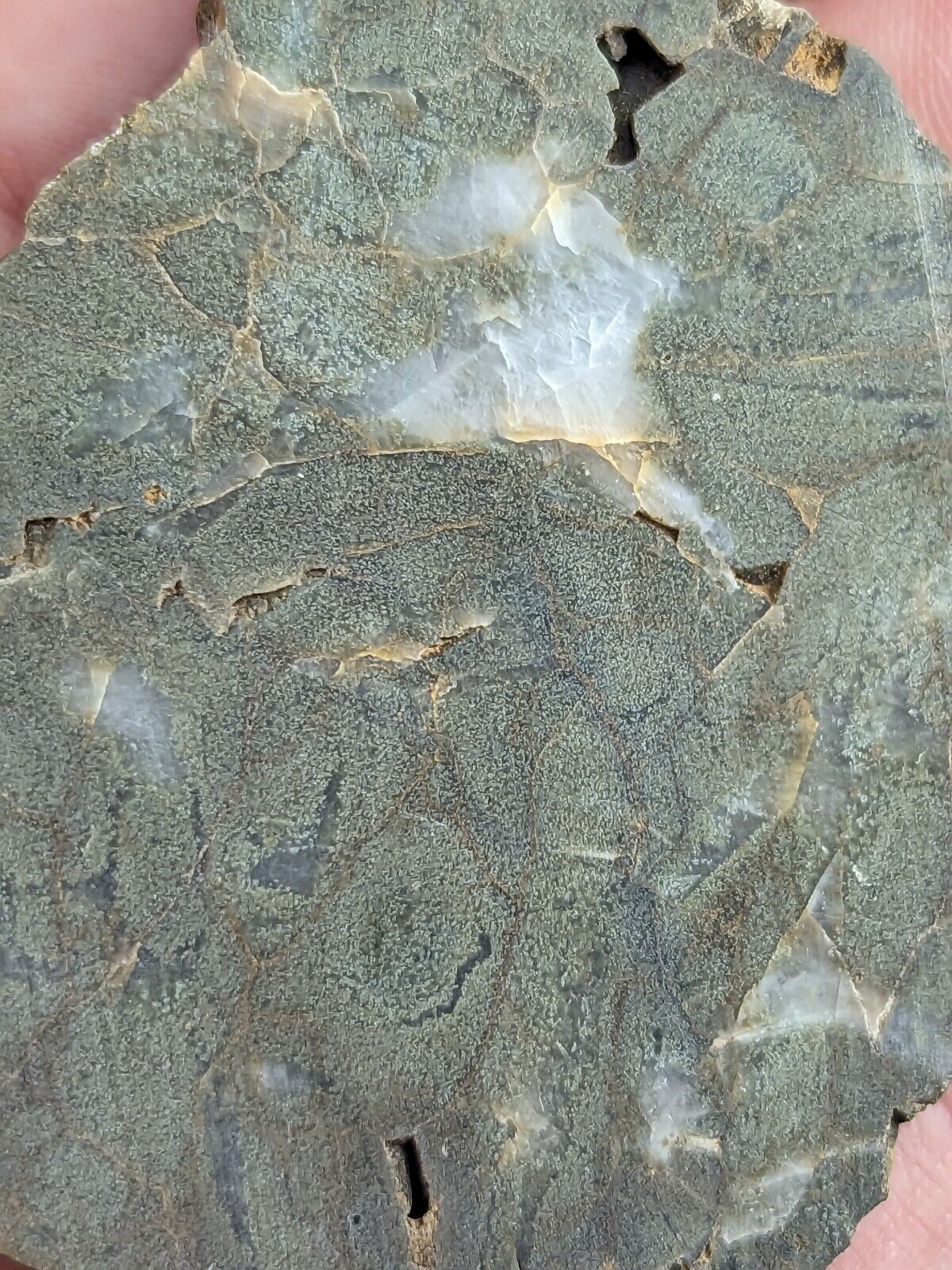 Rare Green Quartz Crystal Half Cut/Polished Saline County Arkansas Old Stock - Collectibles:Rocks Fossils &