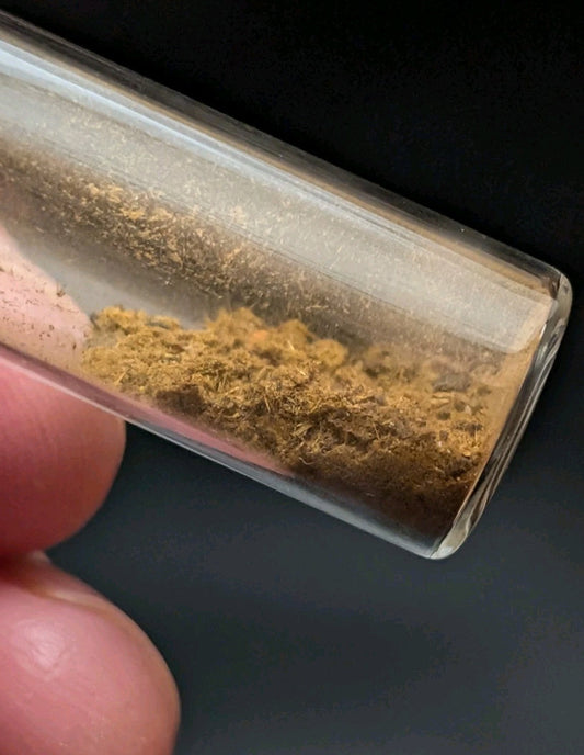 Rare Jar of Cacoxenite Needles- Coon Creek Polk Co Arkansas Old Stock Mineral - Collectibles:Rocks Fossils &
