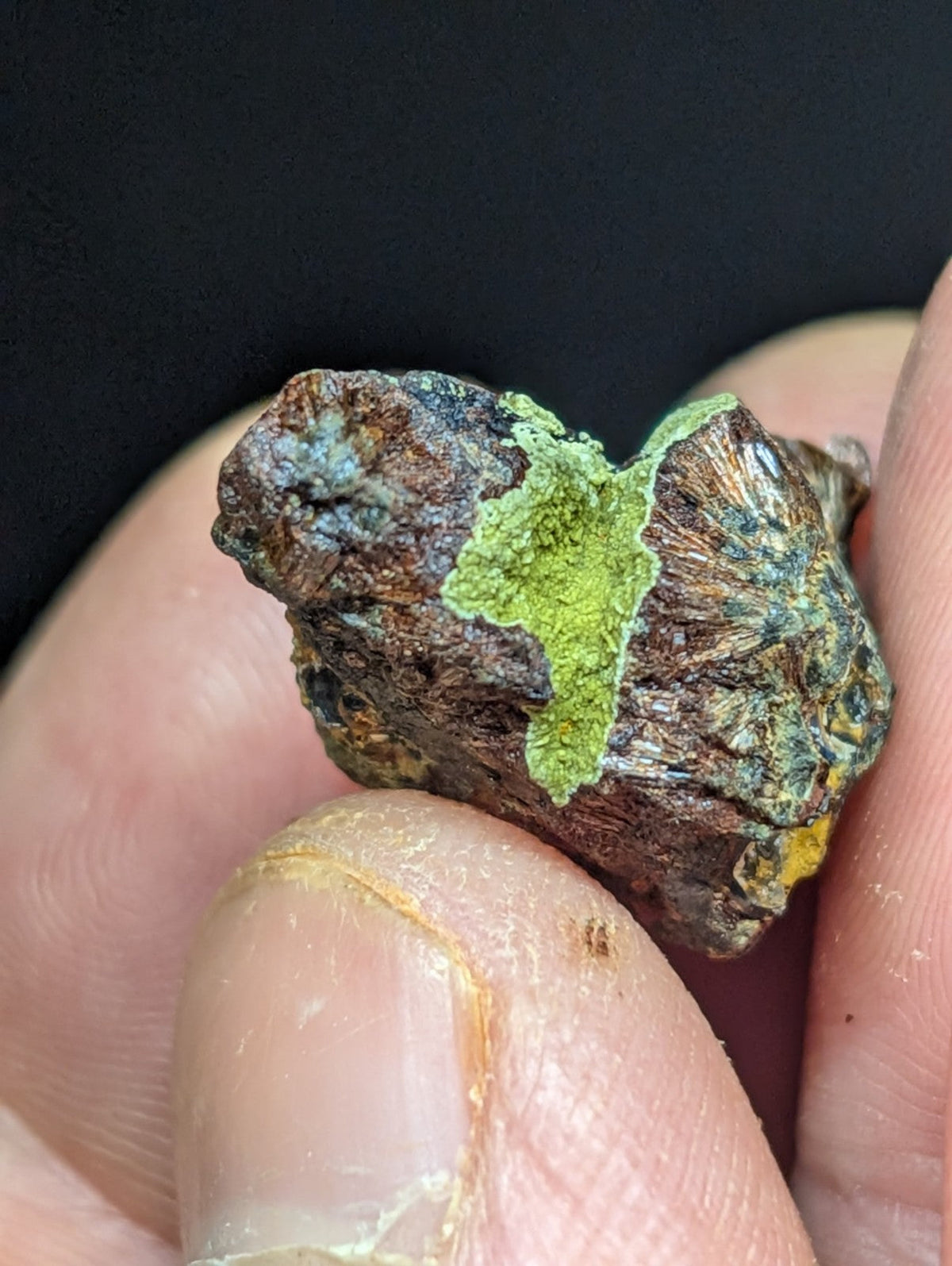 A rugged, irregularly shaped rock with a dark brown base and vibrant green lichen patches.