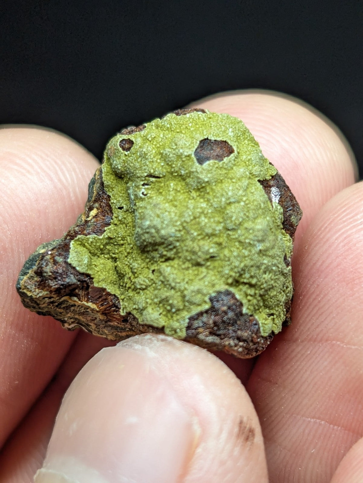 A rough, irregularly shaped mineral specimen with a vibrant green surface and dark brown patches.