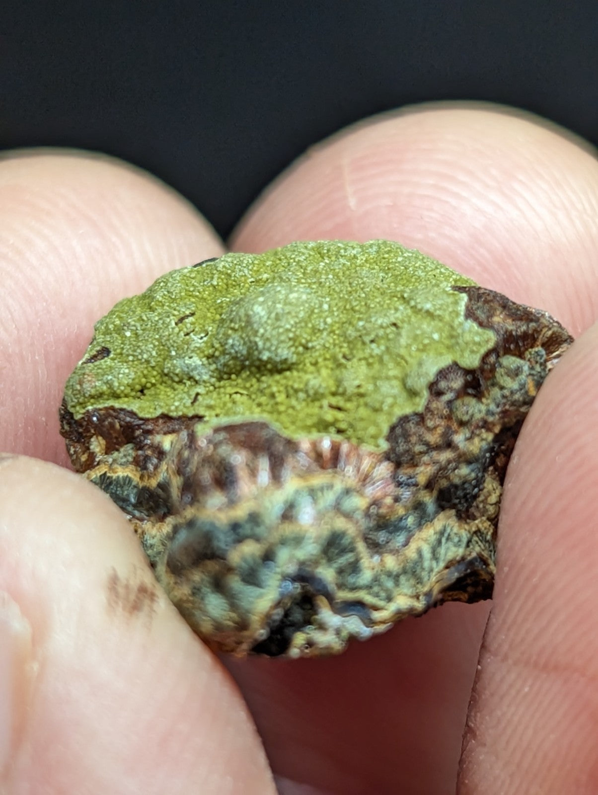 A rough, irregularly shaped mineral specimen with a vibrant green crystalline coating over a darker brown and black base.