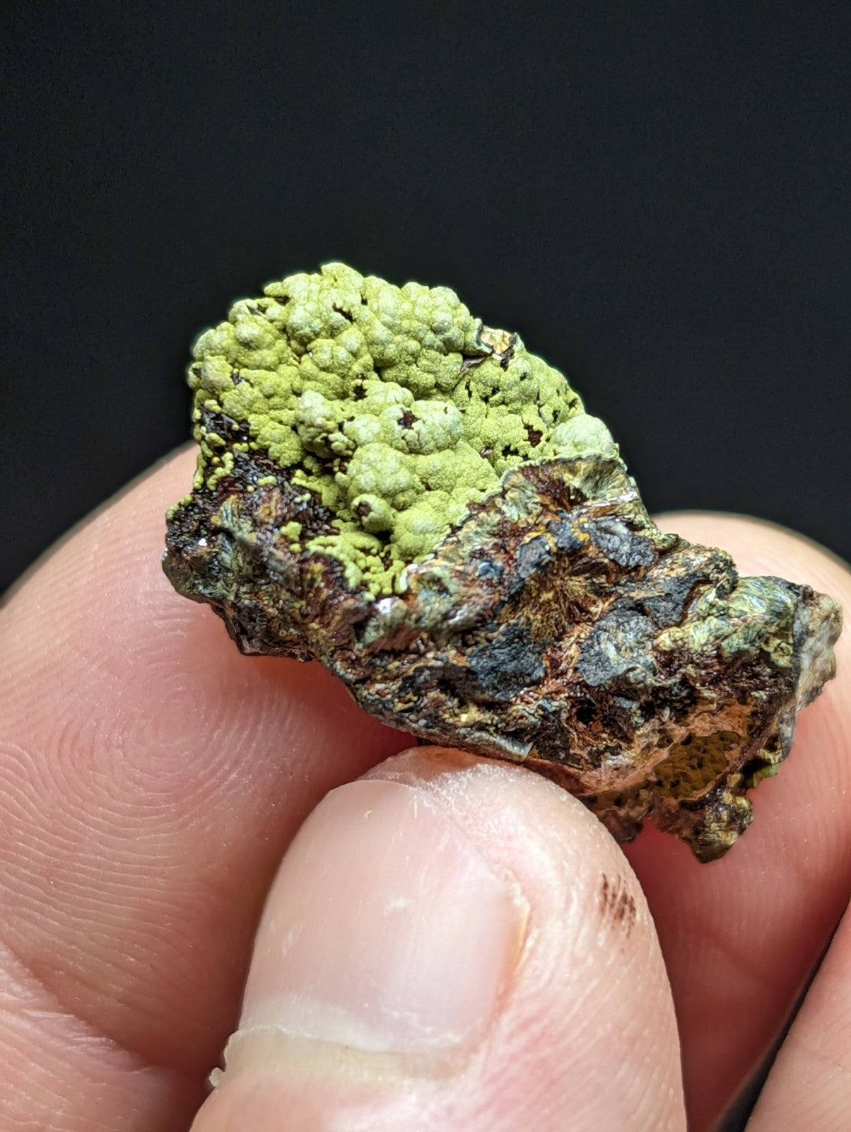 A textured, irregularly shaped rock with vibrant green lichen covering its surface and patches of dark brown and grayish mineral deposits.