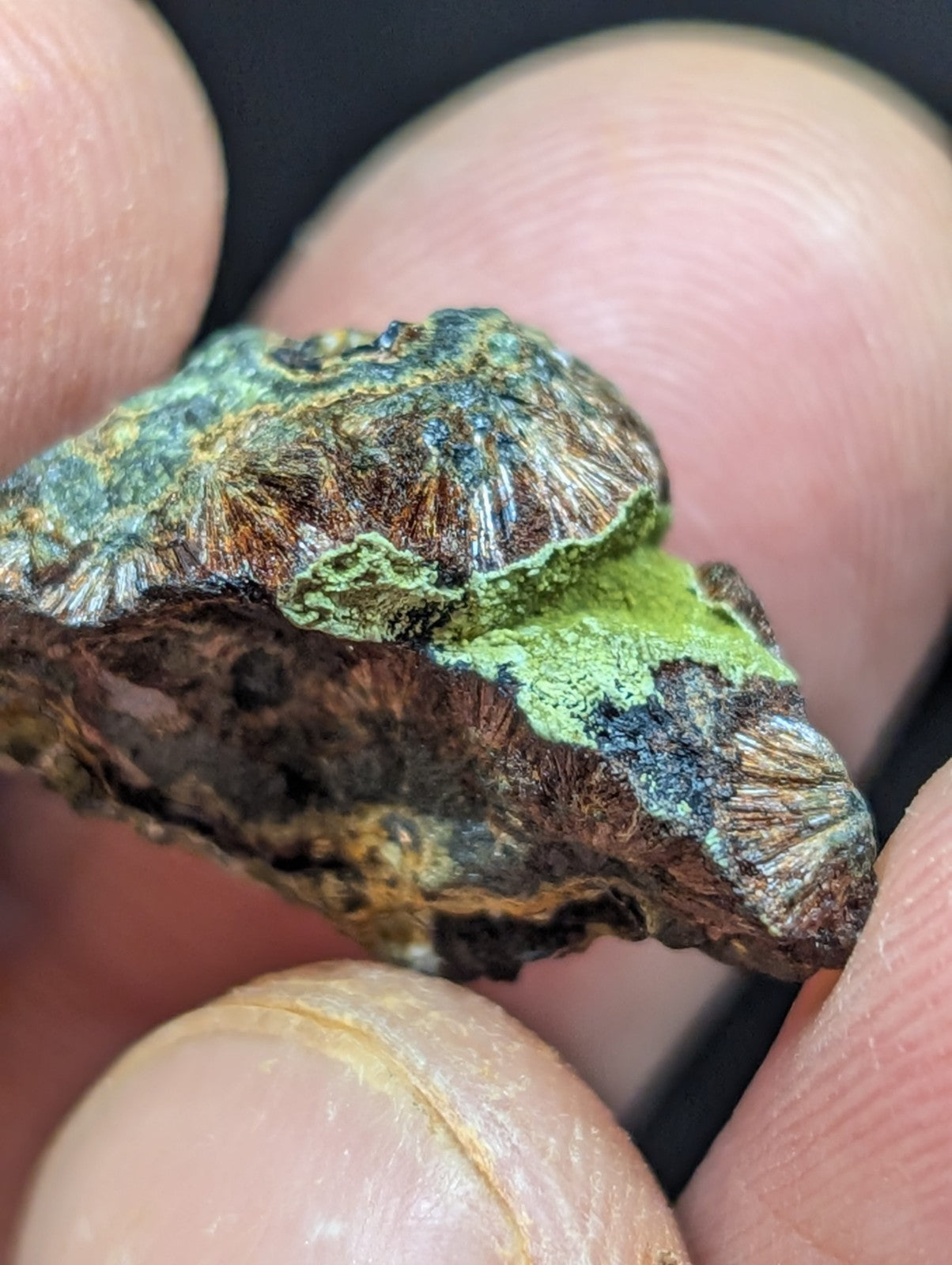 A textured, irregularly shaped mineral specimen with a mottled surface of green patina and dark brown base material.