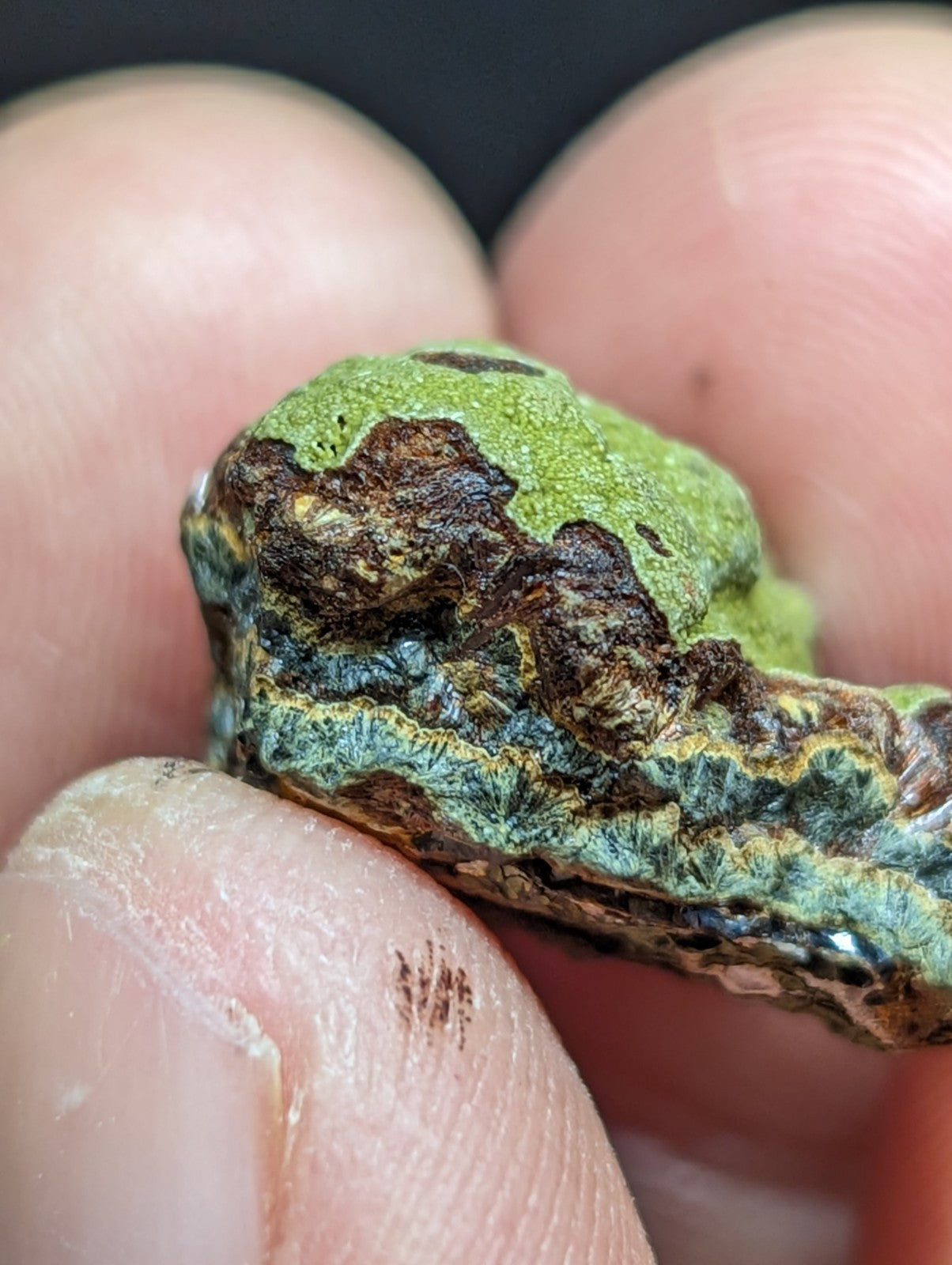 A textured, irregularly shaped piece of moss-covered rock with patches of vibrant green and dark brown.