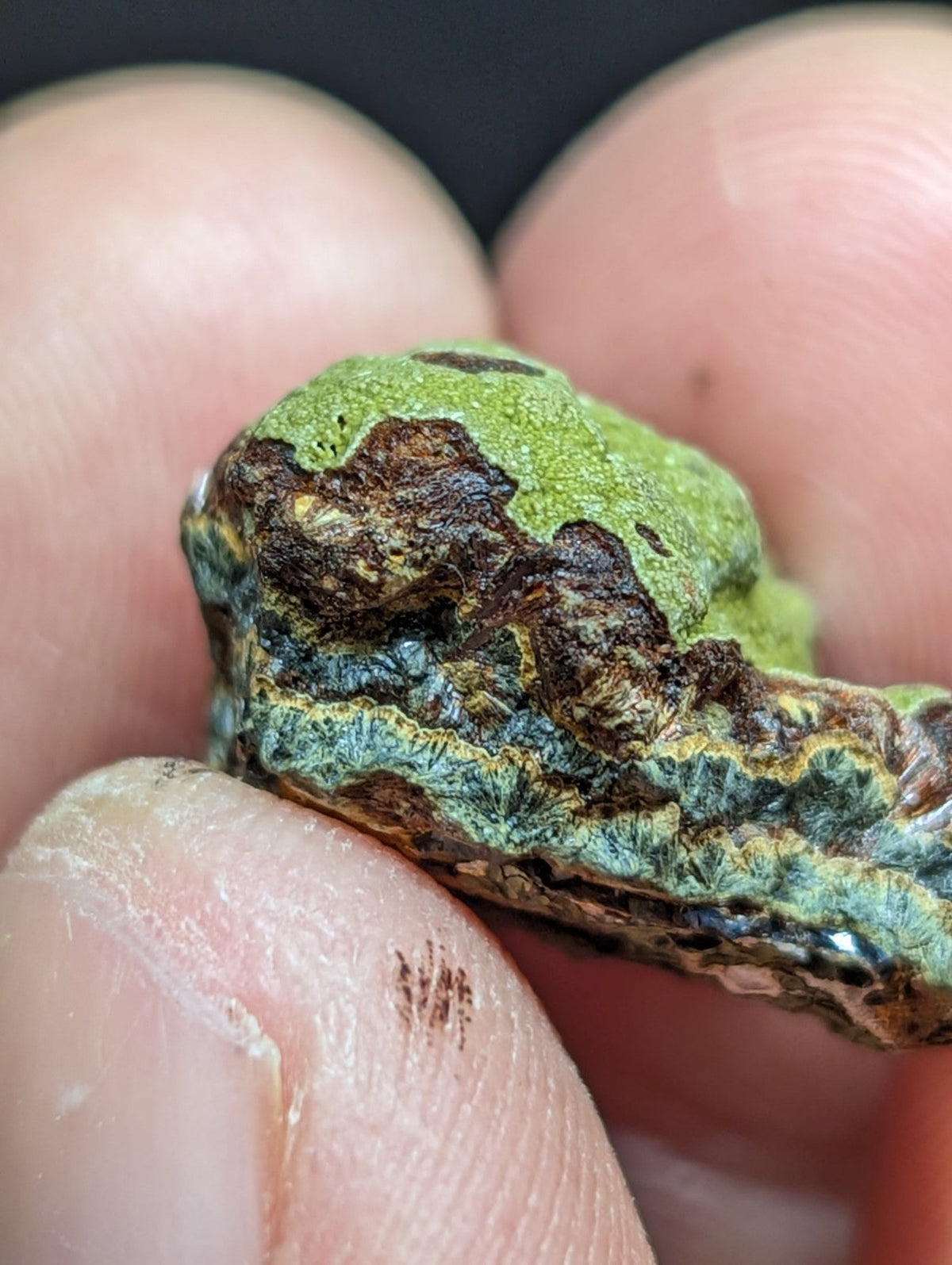 A textured, irregularly shaped piece of moss-covered rock with patches of vibrant green and dark brown.