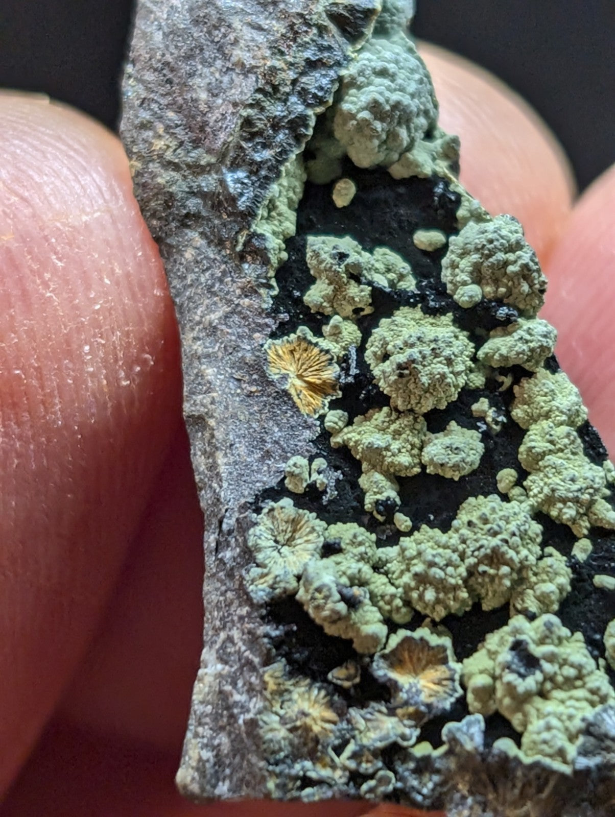 A textured, irregularly shaped rock fragment covered in patches of green lichen with some yellowish-orange spots.
