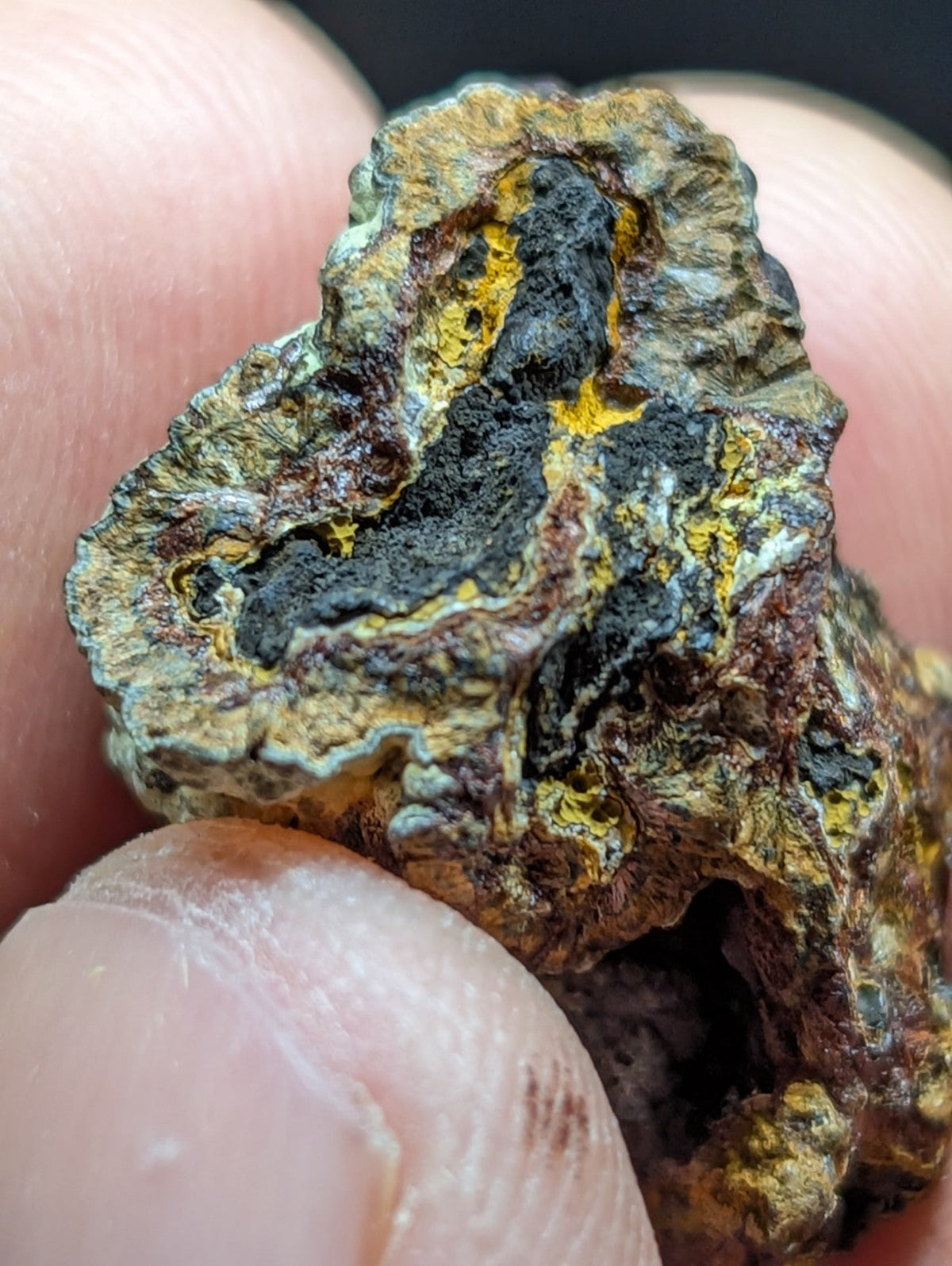 A rugged, irregularly shaped mineral specimen with a textured surface displaying patches of dark black and vibrant yellow against a mottled greenish-brown base.