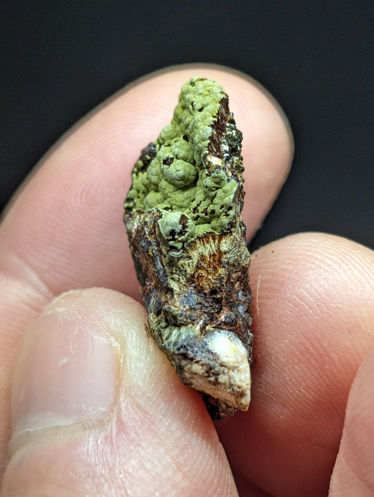 A textured, irregularly shaped stone with patches of vibrant green lichen covering a base of brown and grayish rock.