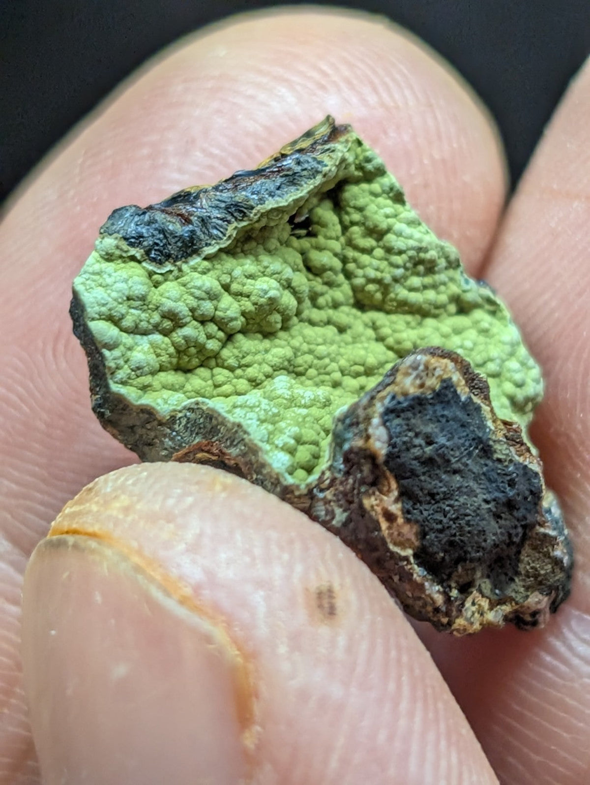 A vibrant green, textured mineral specimen with a rough, bumpy surface and darkened edges held between fingers.