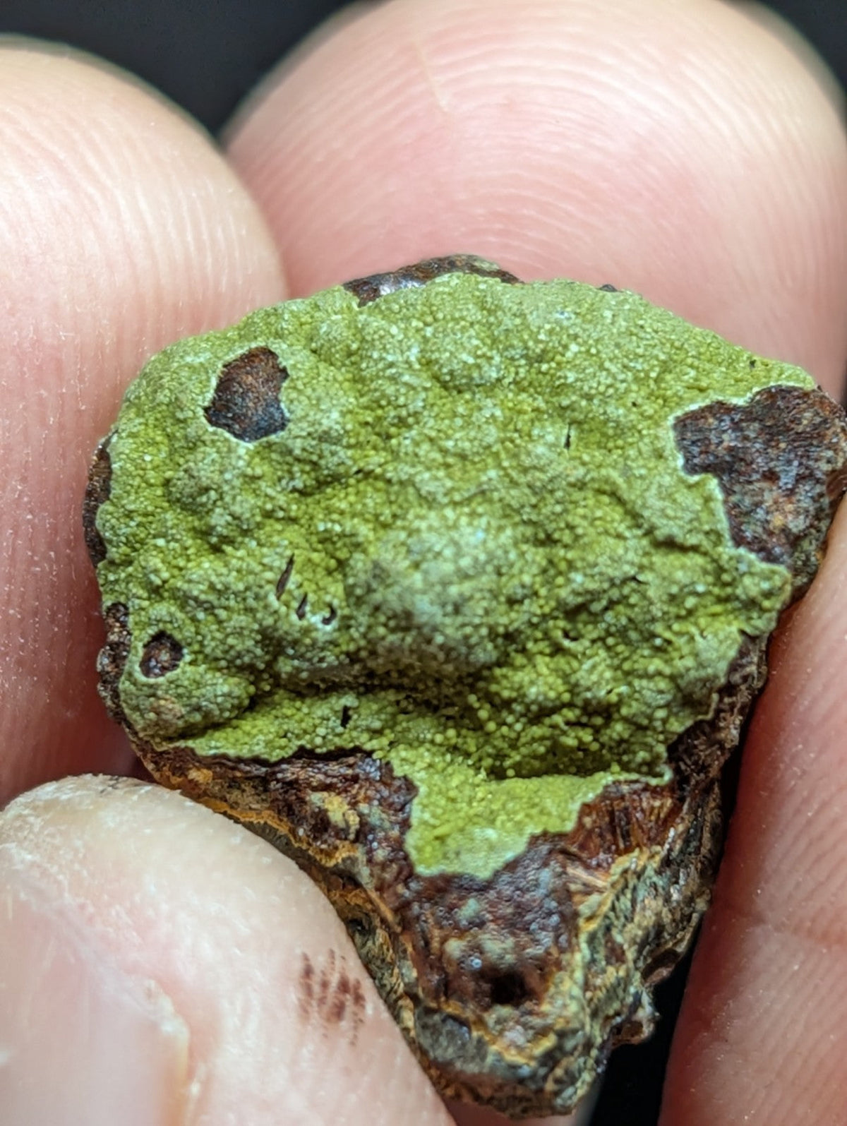 A rough, irregularly shaped mineral specimen with a vibrant green patina covering its surface and dark brown patches along the edges.