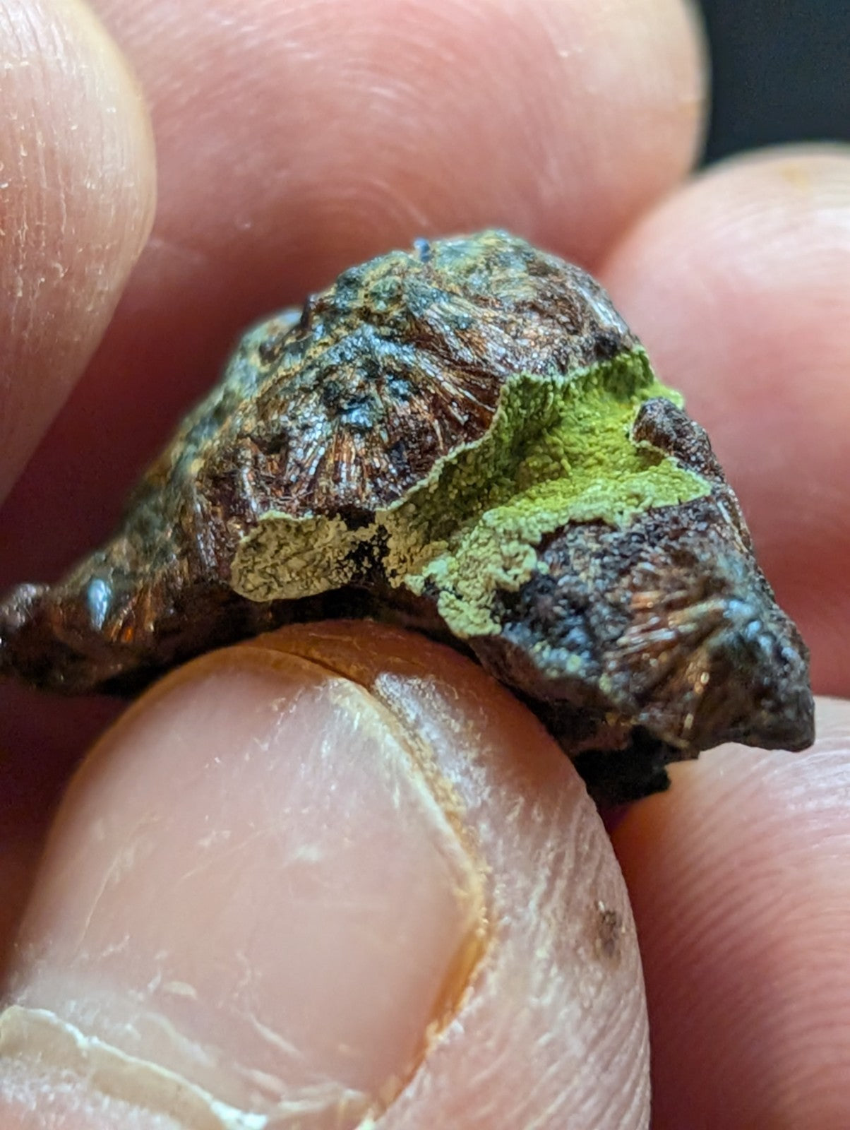 A rugged, irregularly shaped rock with patches of vibrant green moss and dark brown, weathered surfaces.