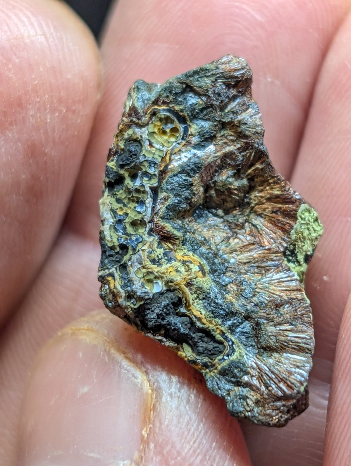 A rugged, irregularly shaped fossilized coral fragment with a textured surface displaying patches of green, yellow, and dark blue-green patina.
