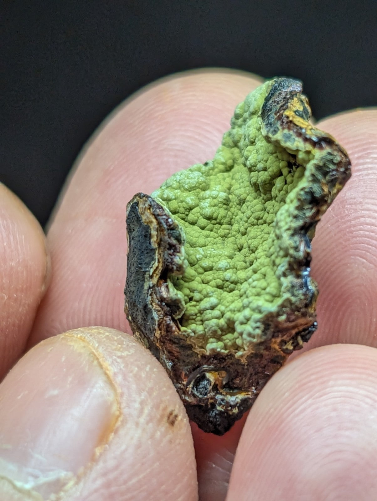 A vibrant green, textured mineral specimen with darkened, rugged edges held gently between fingers.