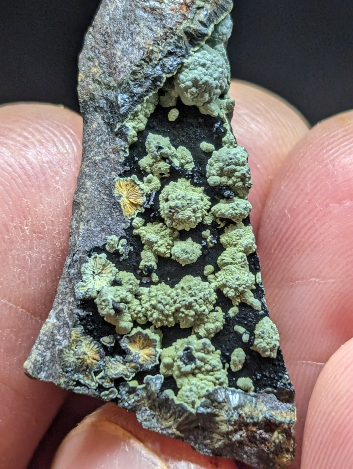 A rugged, dark gray rock fragment covered in vibrant green lichen with scattered yellowish patches.