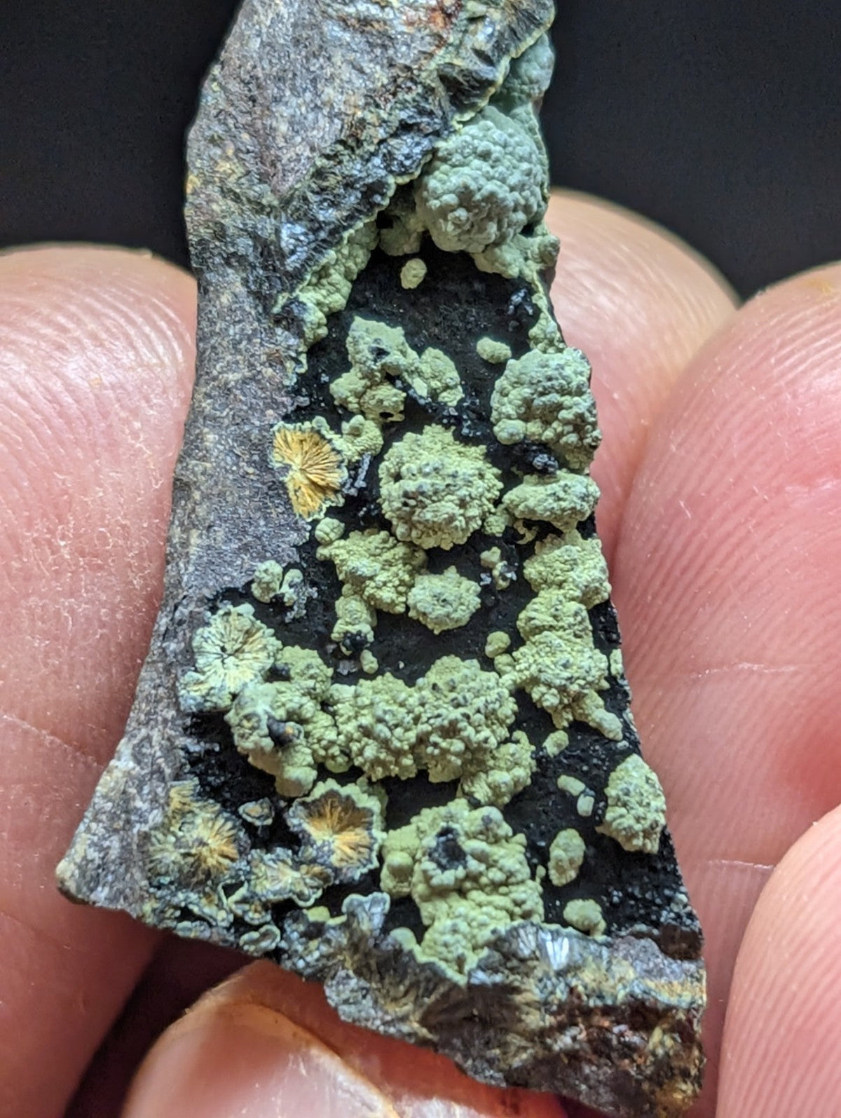 A rugged, dark gray rock fragment covered in vibrant green lichen with scattered yellowish patches.
