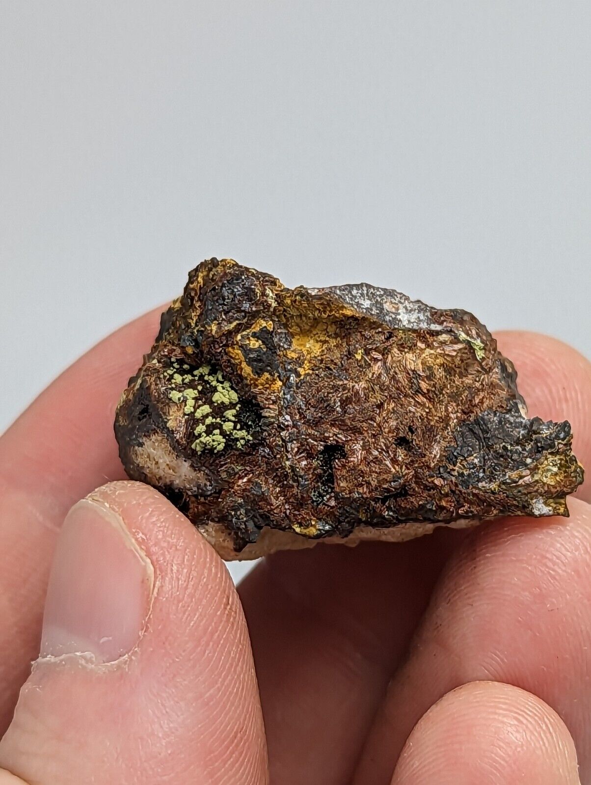 Rare Kidwellite On Black Rockbridgeite Beraunite -York Mine Polk Co Arkansas - Collectibles:Rocks Fossils &