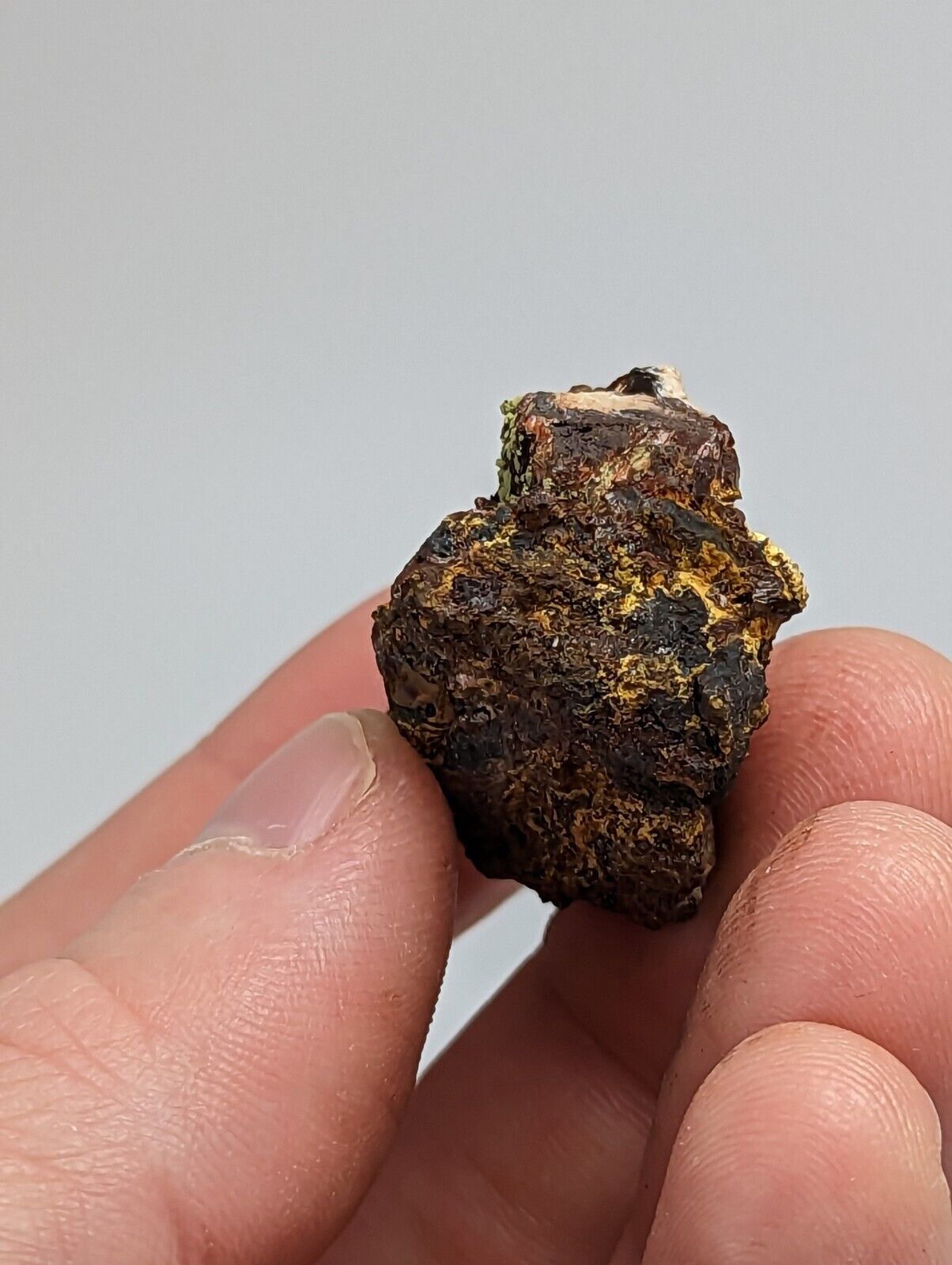 Rare Kidwellite On Black Rockbridgeite Beraunite -York Mine Polk Co Arkansas - Collectibles:Rocks Fossils &