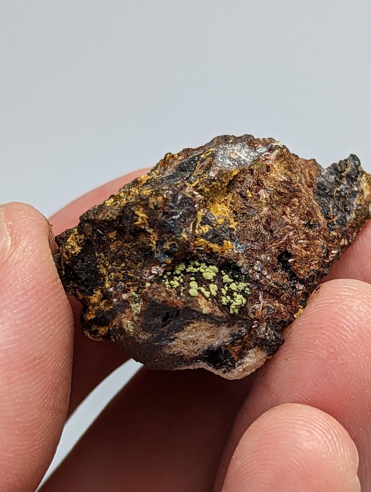 Rare Kidwellite On Black Rockbridgeite Beraunite -York Mine Polk Co Arkansas - Collectibles:Rocks Fossils &