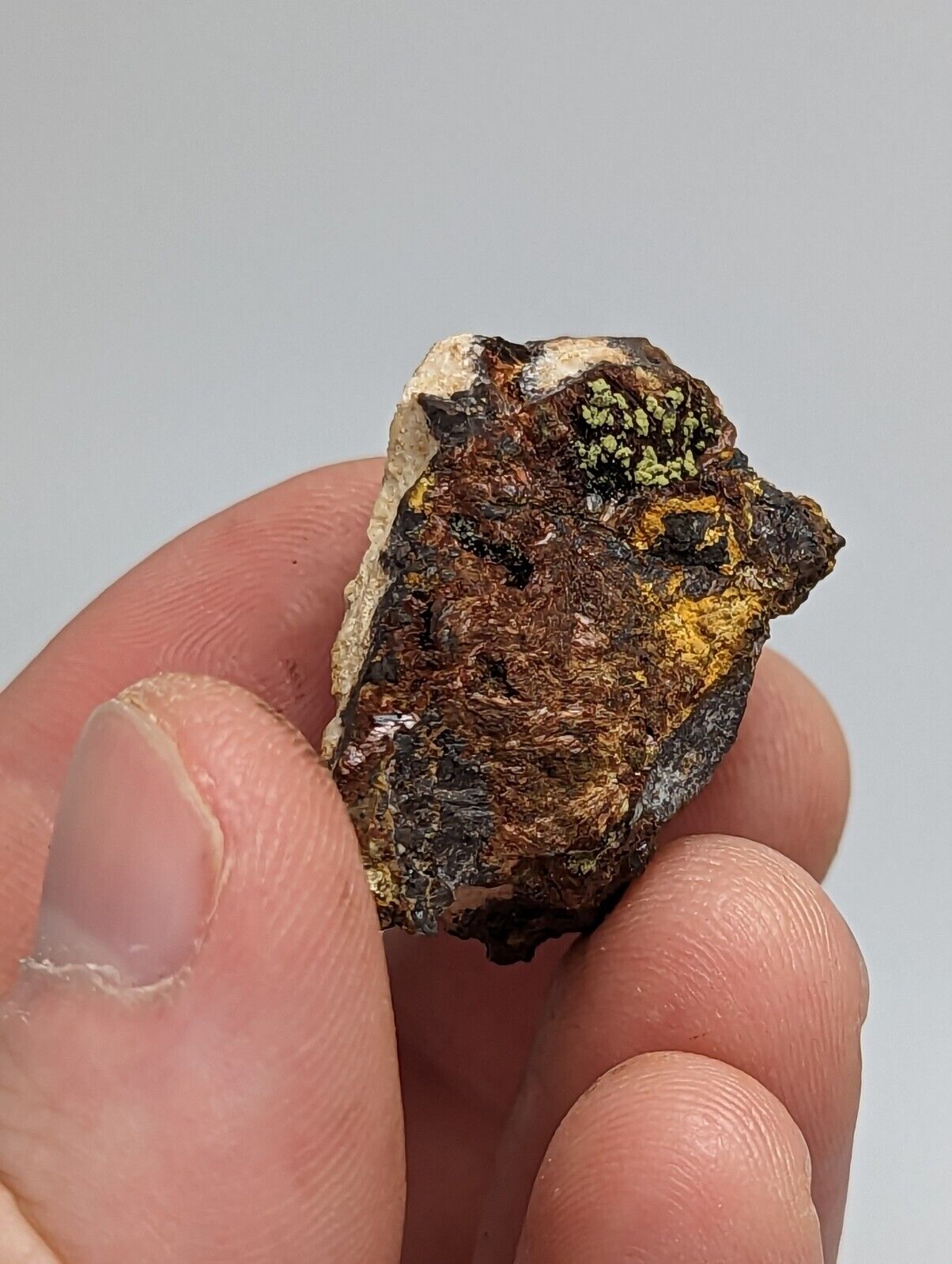 Rare Kidwellite On Black Rockbridgeite Beraunite -York Mine Polk Co Arkansas - Collectibles:Rocks Fossils &