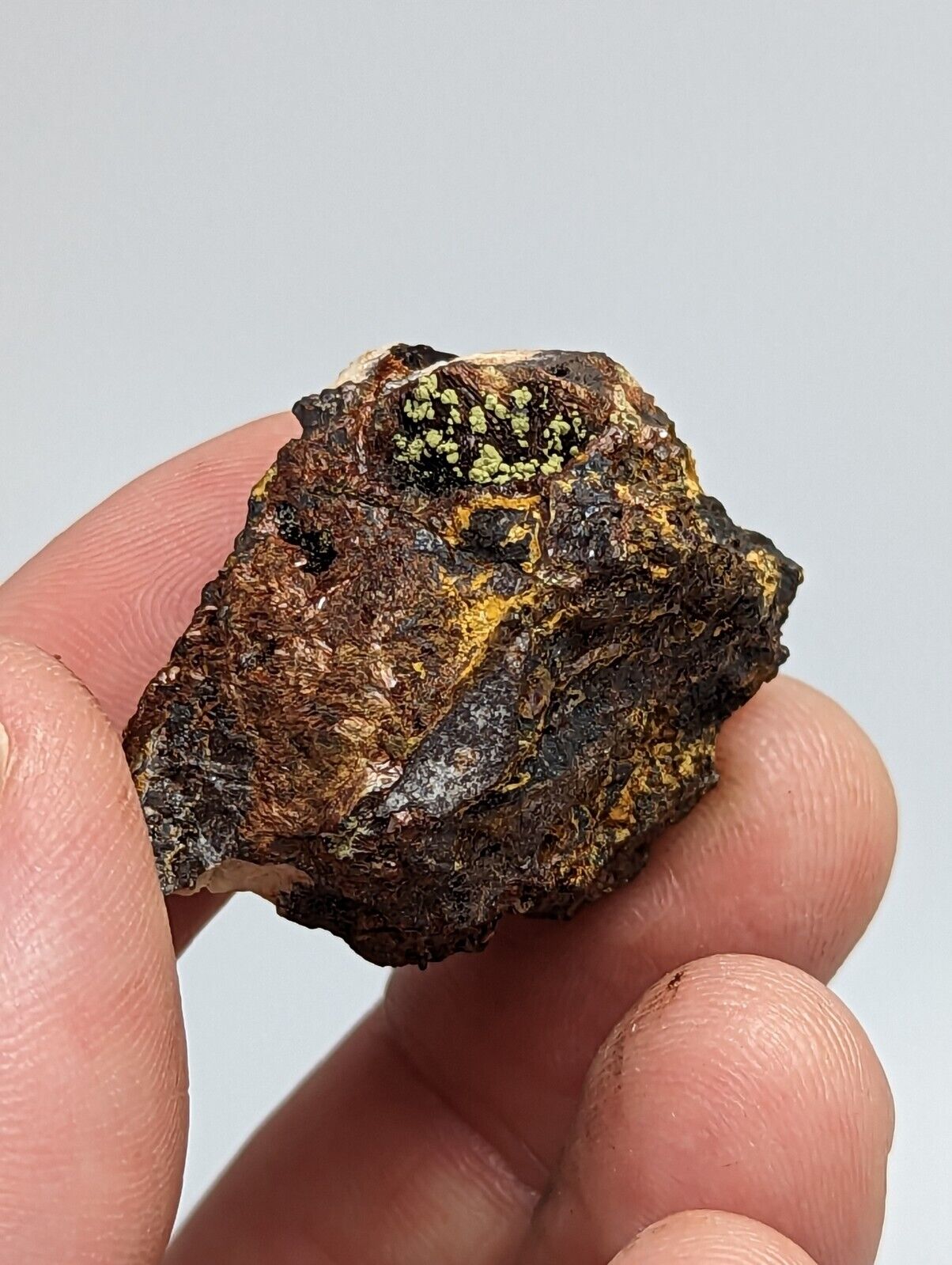 Rare Kidwellite On Black Rockbridgeite Beraunite -York Mine Polk Co Arkansas - Collectibles:Rocks Fossils &