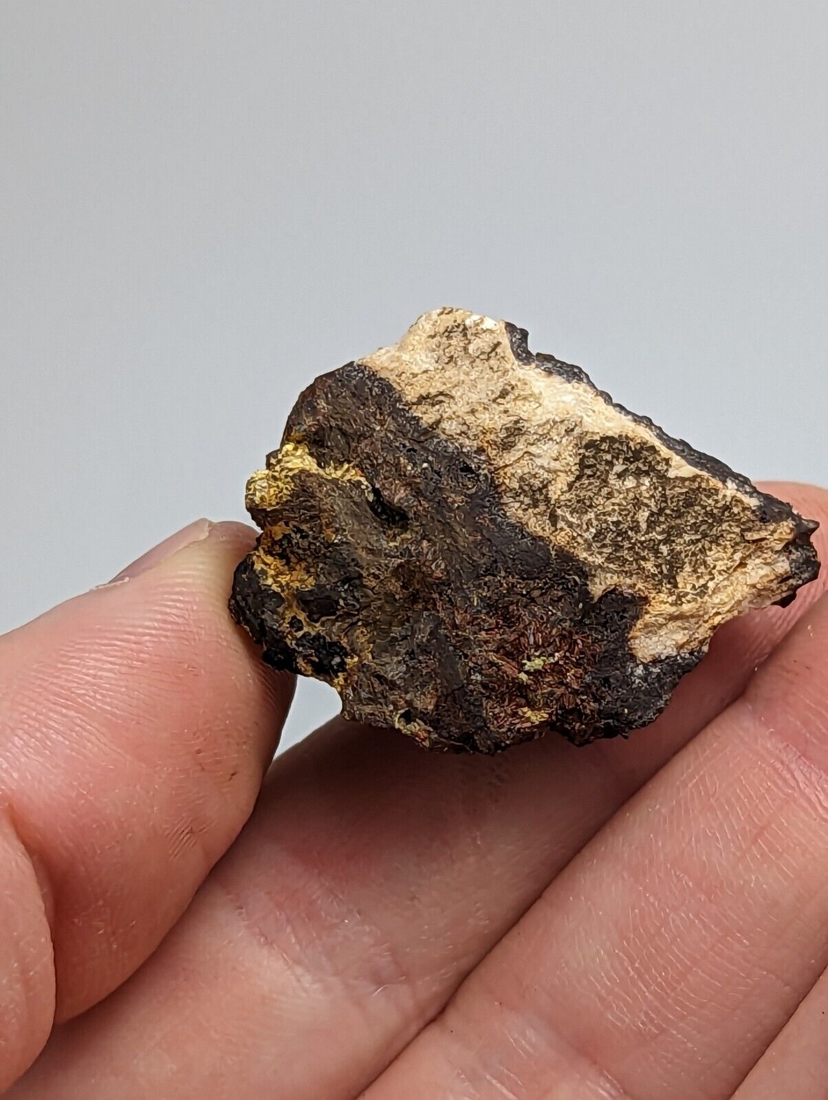 Rare Kidwellite On Black Rockbridgeite Beraunite -York Mine Polk Co Arkansas - Collectibles:Rocks Fossils &