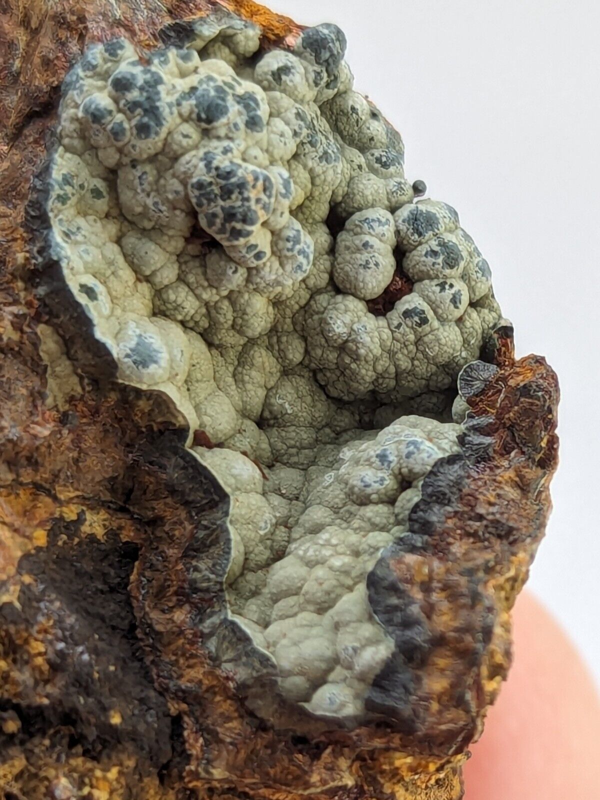 Rare Kidwellite On Black Rockbridgeite Beraunite -York Mine Polk Co Arkansas - Collectibles:Rocks Fossils &