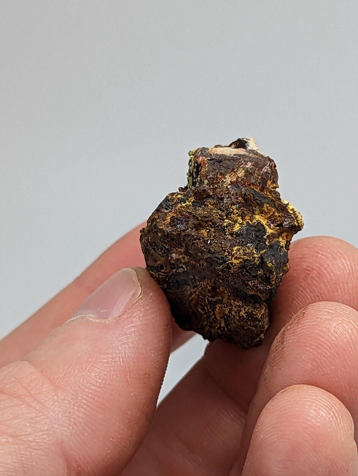 Rare Kidwellite On Black Rockbridgeite Beraunite -York Mine Polk Co Arkansas - Collectibles:Rocks Fossils &