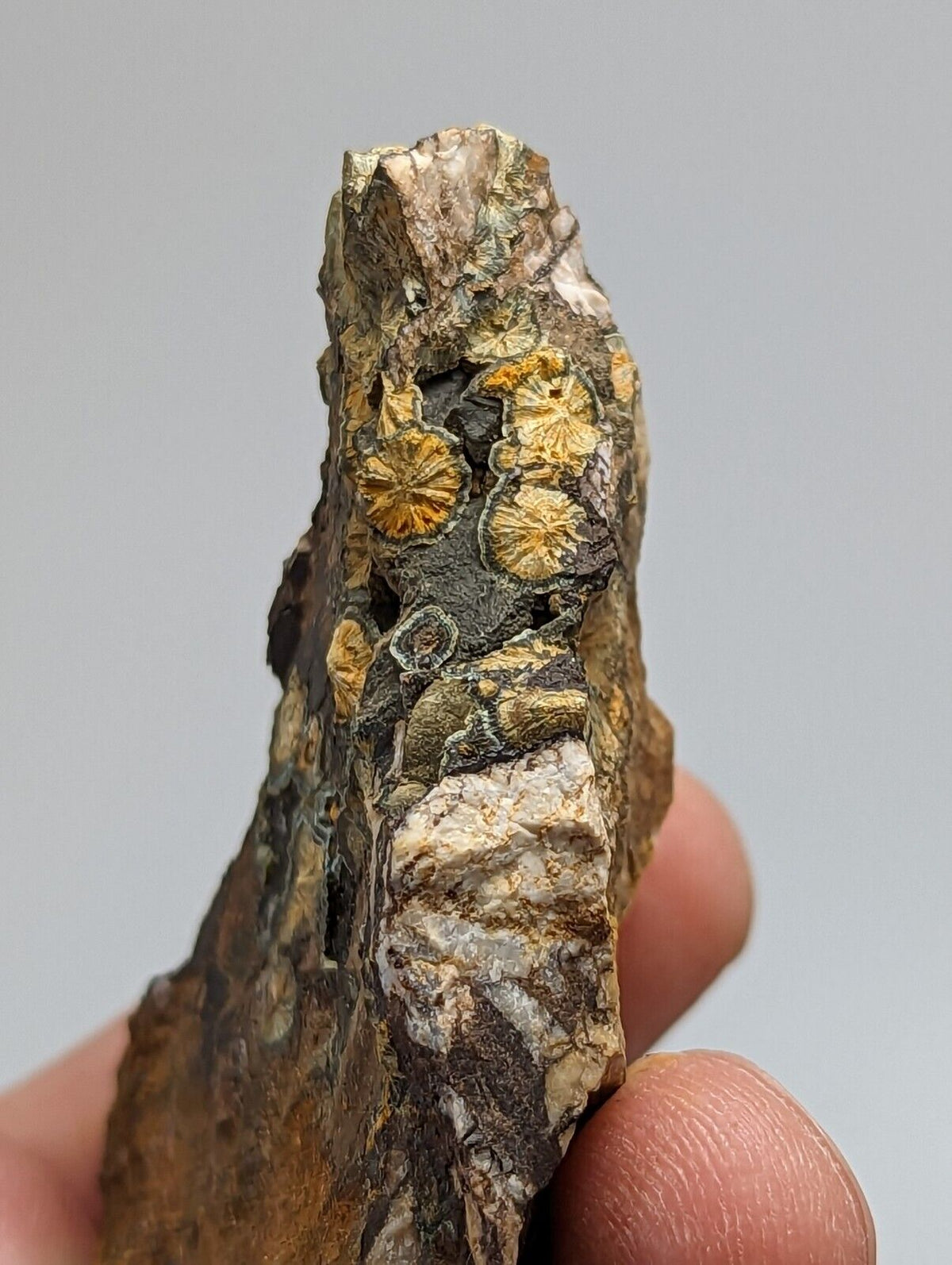 Rare Kidwellite On Black Rockbridgeite Beraunite -York Mine Polk Co Arkansas - Collectibles:Rocks Fossils &