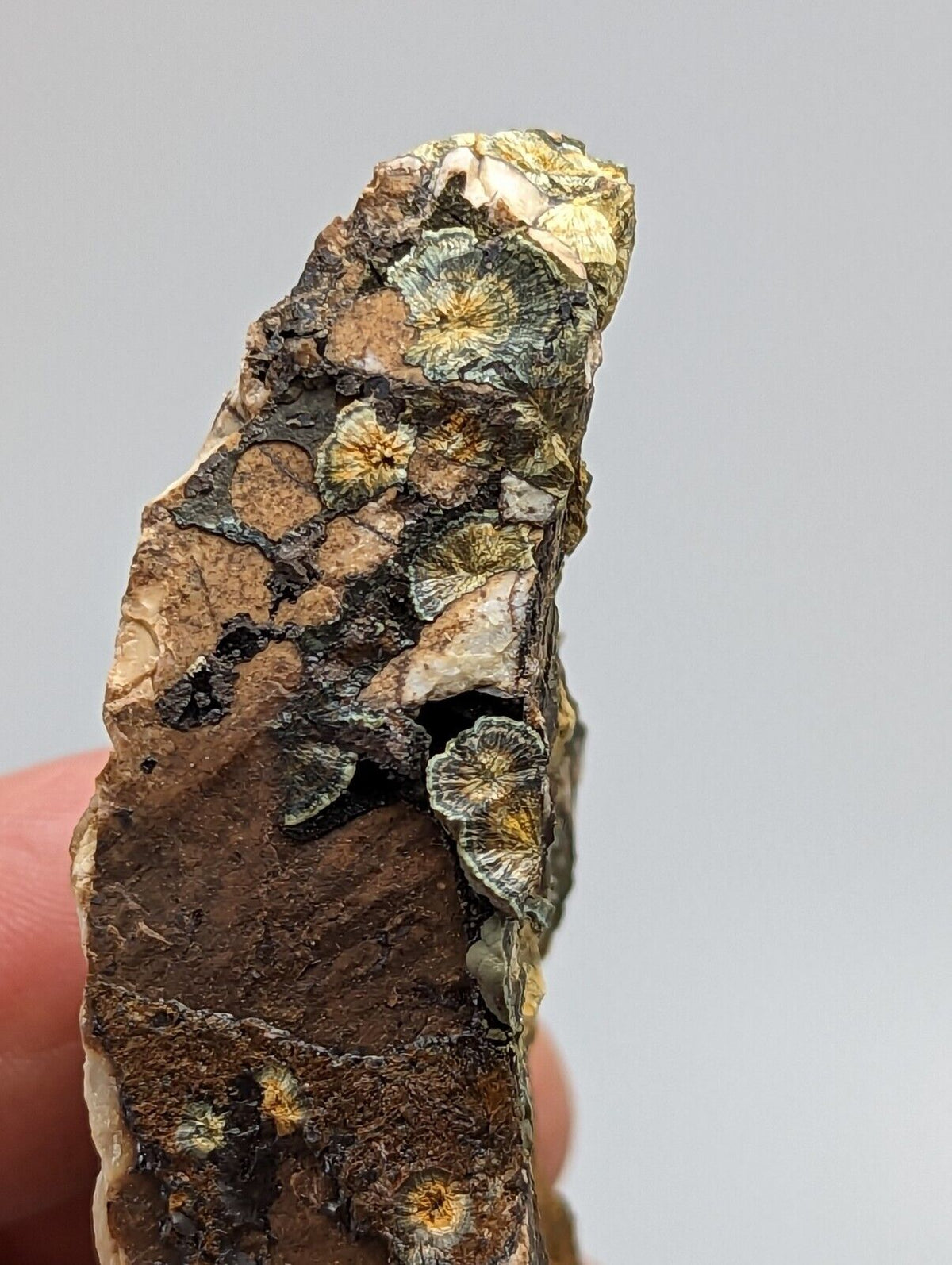 Rare Kidwellite On Black Rockbridgeite Beraunite -York Mine Polk Co Arkansas - Collectibles:Rocks Fossils &