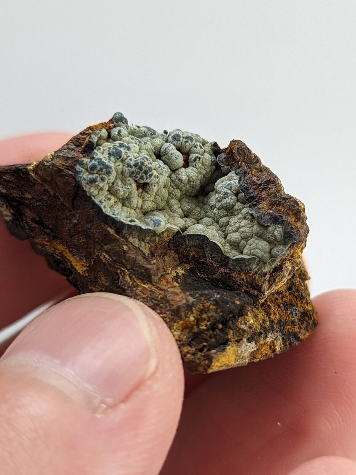 Rare Kidwellite On Black Rockbridgeite Beraunite -York Mine Polk Co Arkansas - Collectibles:Rocks Fossils &