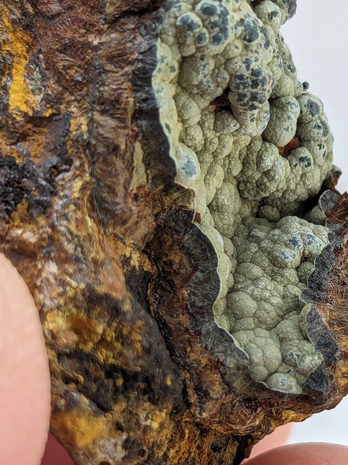 Rare Kidwellite On Black Rockbridgeite Beraunite -York Mine Polk Co Arkansas - Collectibles:Rocks Fossils &
