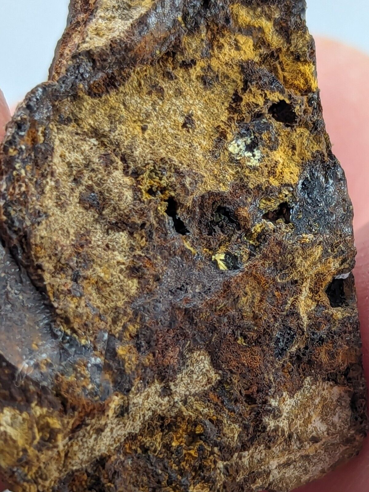 Rare Kidwellite On Black Rockbridgeite Beraunite -York Mine Polk Co Arkansas - Collectibles:Rocks Fossils &