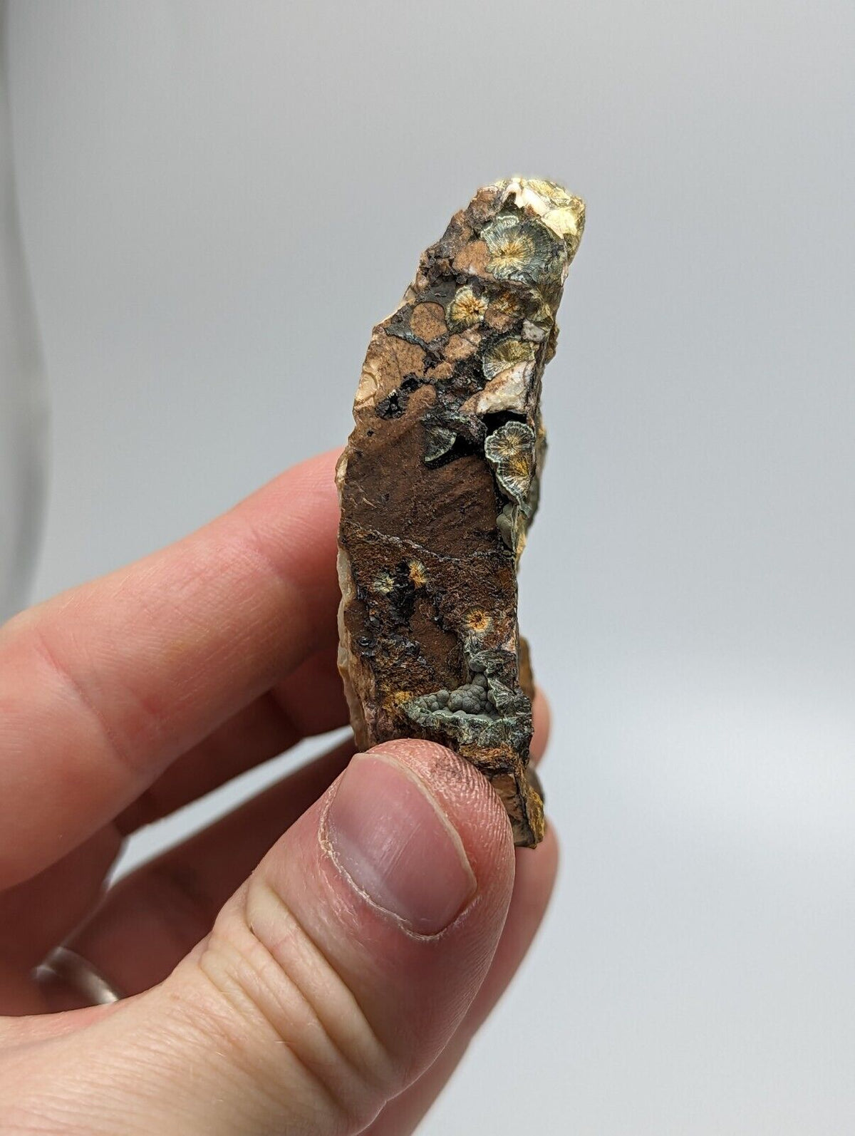 Rare Kidwellite On Black Rockbridgeite Beraunite -York Mine Polk Co Arkansas - Collectibles:Rocks Fossils &