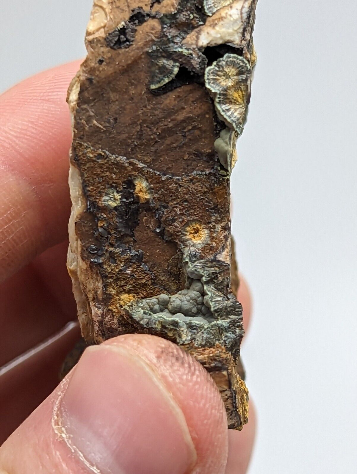 Rare Kidwellite On Black Rockbridgeite Beraunite -York Mine Polk Co Arkansas - Collectibles:Rocks Fossils &