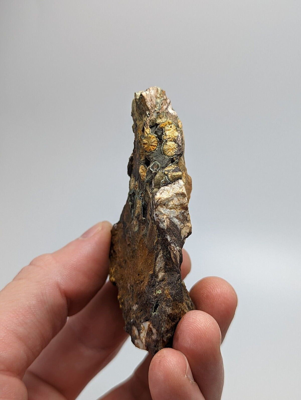 Rare Kidwellite On Black Rockbridgeite Beraunite -York Mine Polk Co Arkansas - Collectibles:Rocks Fossils &