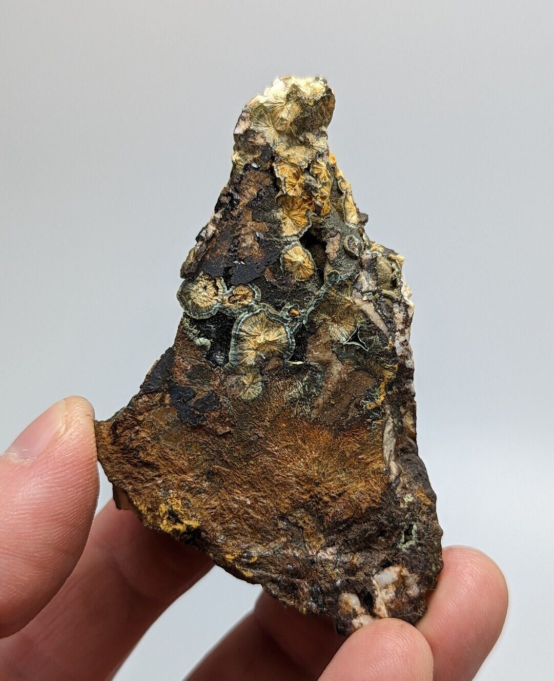 Rare Kidwellite On Black Rockbridgeite Beraunite -York Mine Polk Co Arkansas - Collectibles:Rocks Fossils &