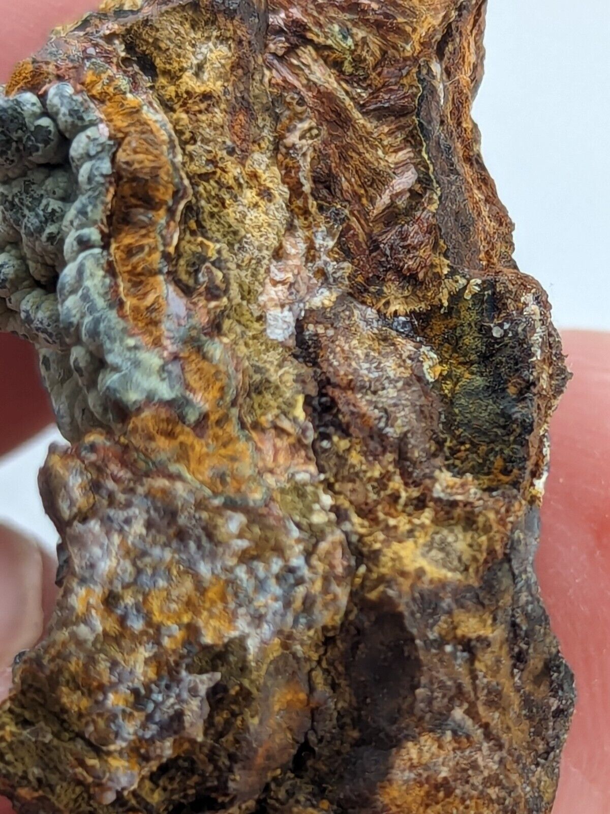 Rare Kidwellite On Black Rockbridgeite Beraunite -York Mine Polk Co Arkansas - Collectibles:Rocks Fossils &