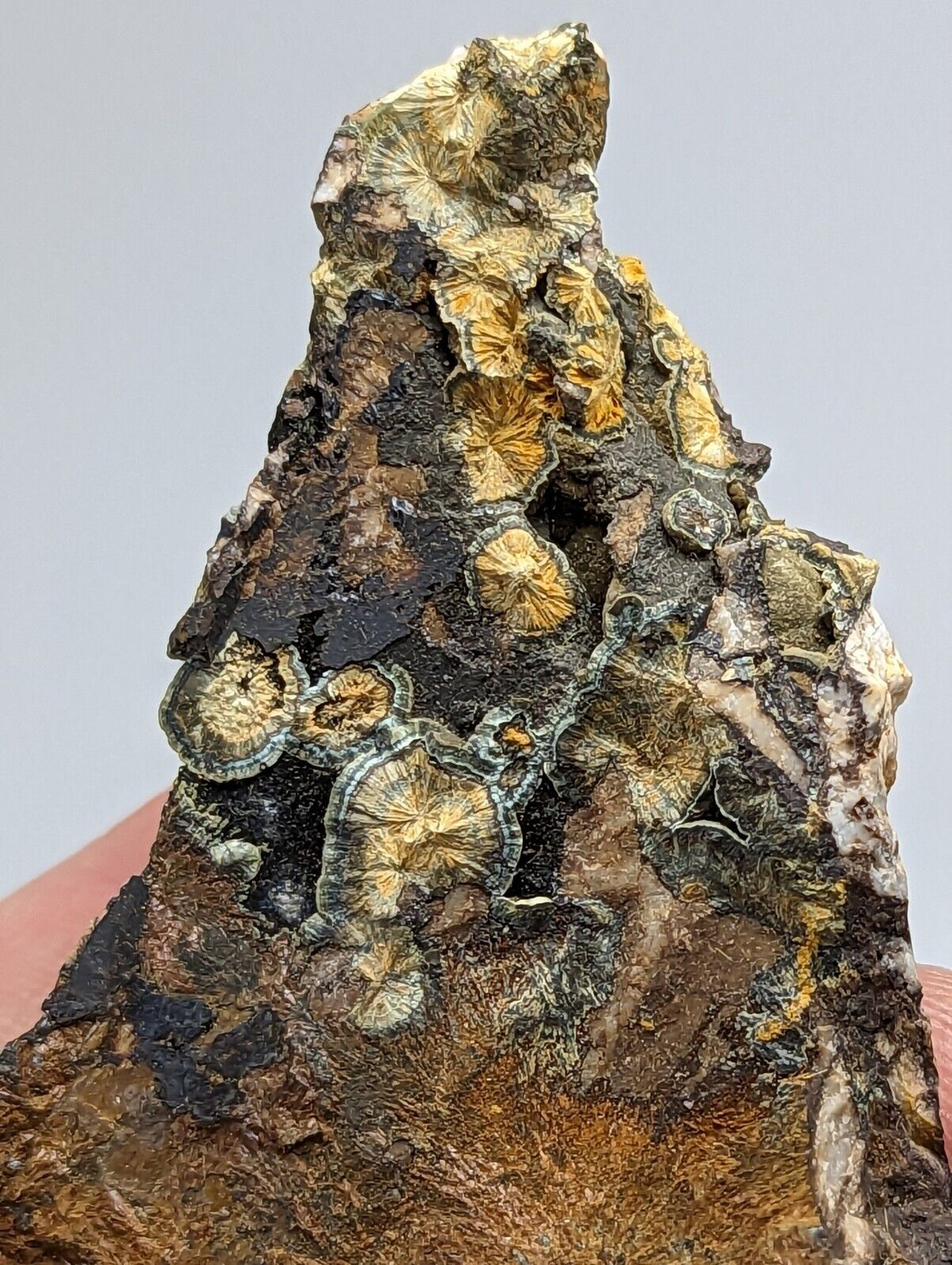 Rare Kidwellite On Black Rockbridgeite Beraunite -York Mine Polk Co Arkansas - Collectibles:Rocks Fossils &