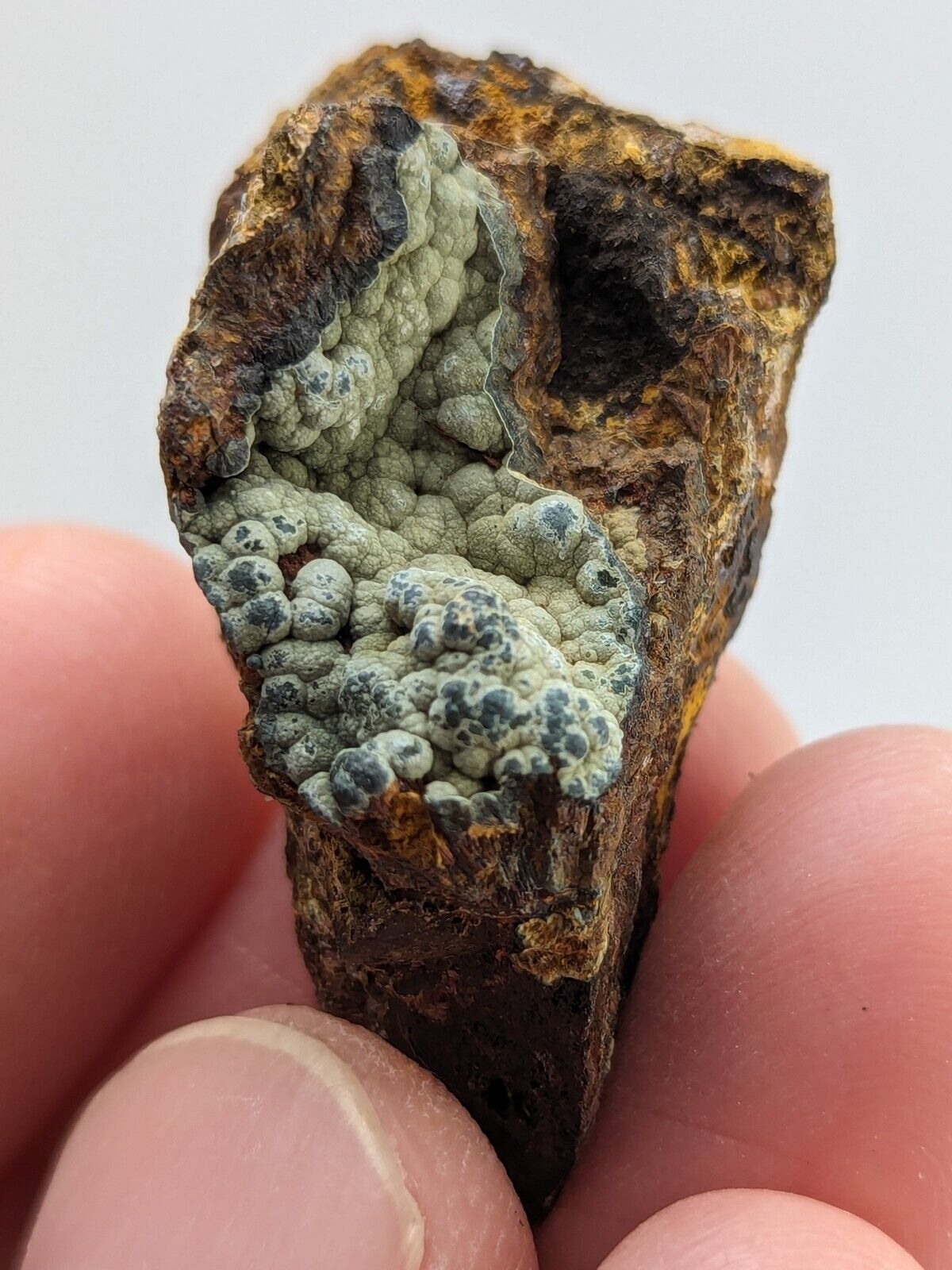 Rare Kidwellite On Black Rockbridgeite Beraunite -York Mine Polk Co Arkansas - Collectibles:Rocks Fossils &