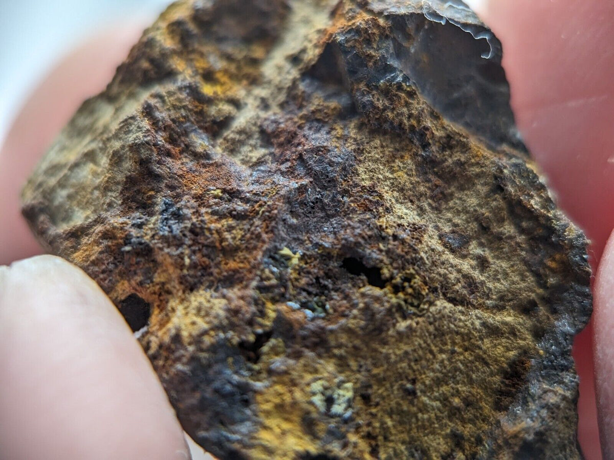 Rare Kidwellite On Black Rockbridgeite Beraunite -York Mine Polk Co Arkansas - Collectibles:Rocks Fossils &