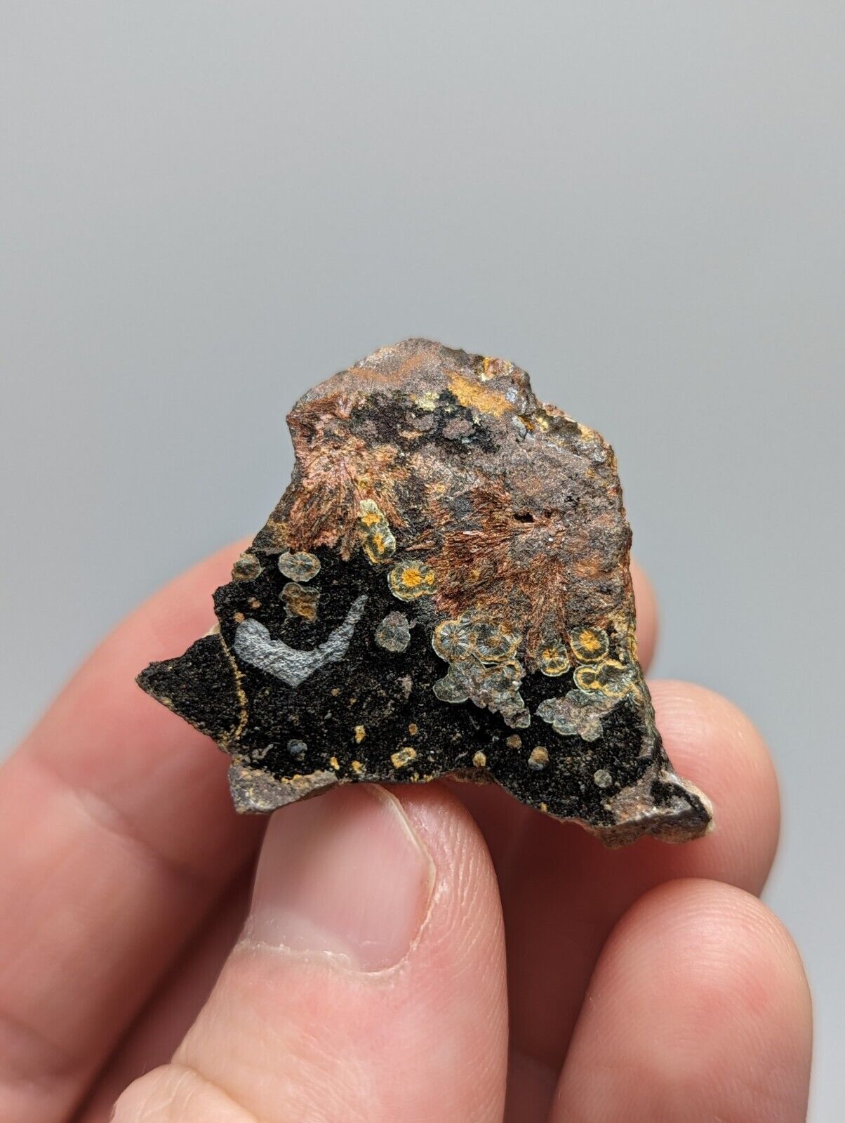 RARE KIDWELLITE ON BLACK ROCKBRIDGEITE ELEONORITE -YORK MINE POLK CO ARKANSAS - Collectibles:Rocks Fossils &