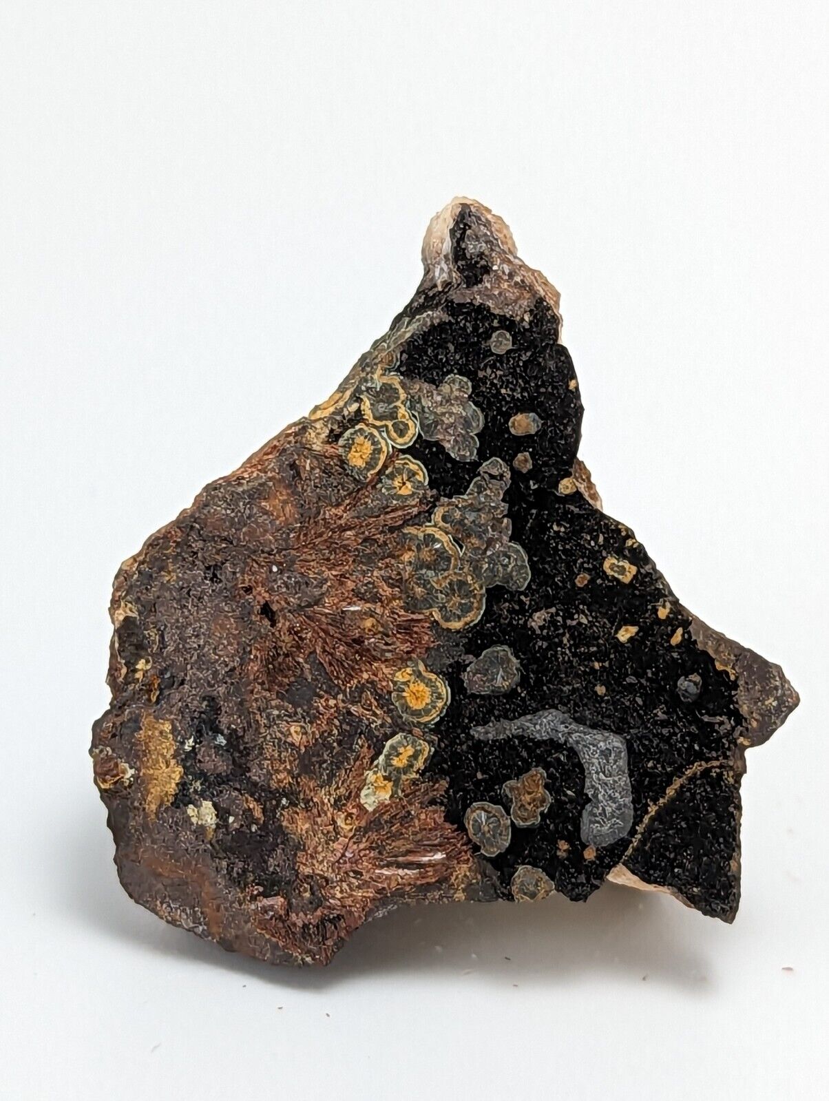 RARE KIDWELLITE ON BLACK ROCKBRIDGEITE ELEONORITE -YORK MINE POLK CO ARKANSAS - Collectibles:Rocks Fossils &