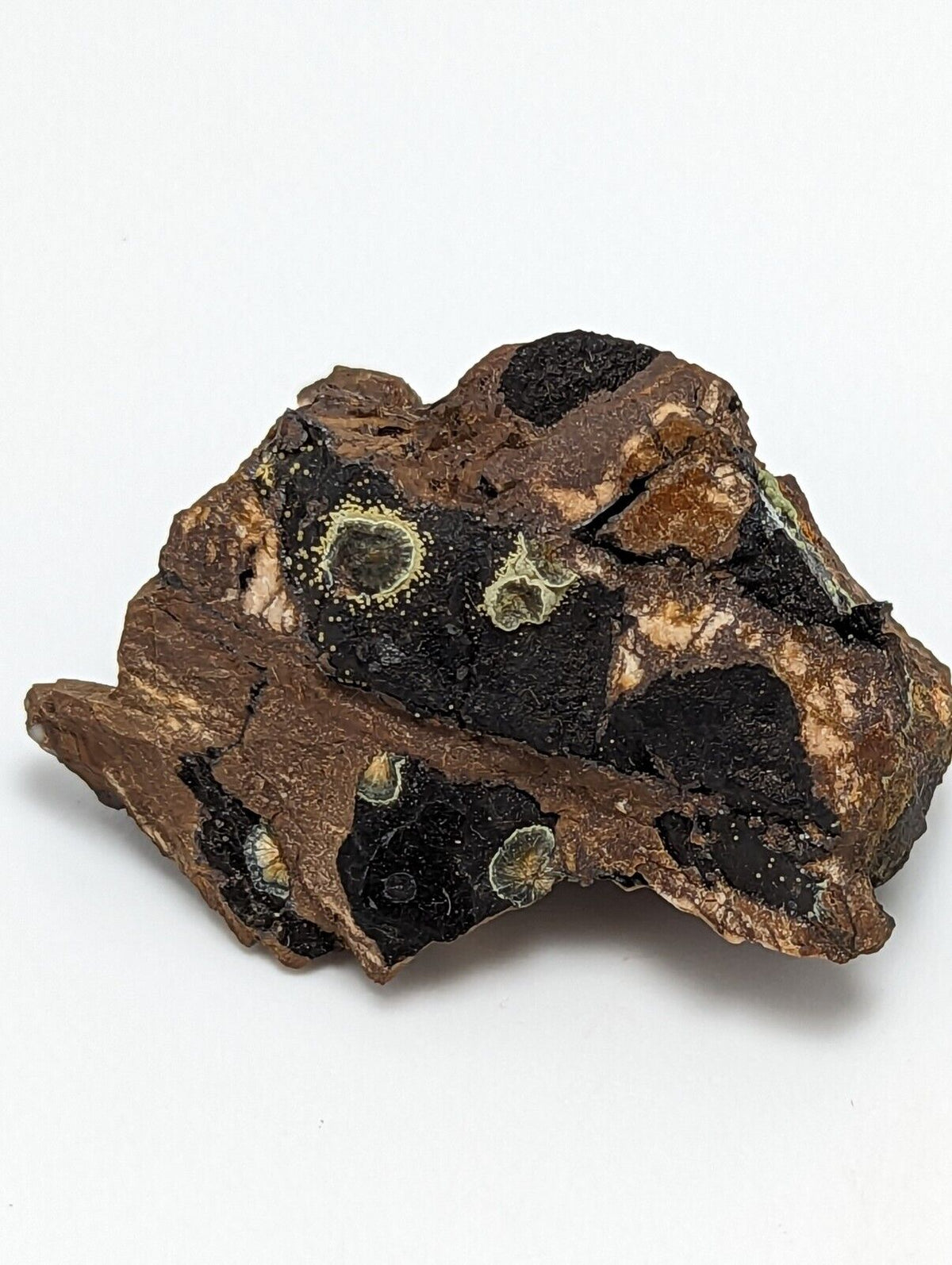 Rare Kidwellite On Black Rockbridgeite Eleonorite -York Mine Polk Co Arkansas - Collectibles:Rocks Fossils &